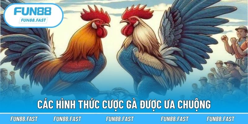 Các hình thức cược gà được ưa chuộng