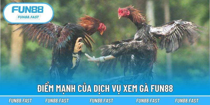 Điểm mạnh của dịch vụ xem gà Fun88