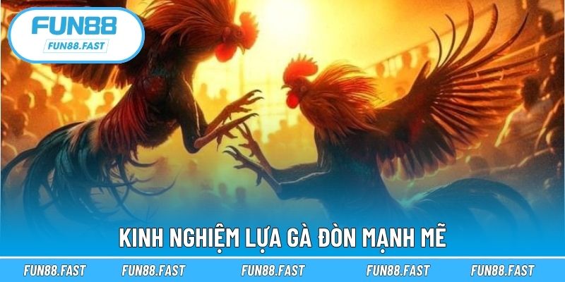 Kinh nghiệm lựa gà đòn mạnh mẽ